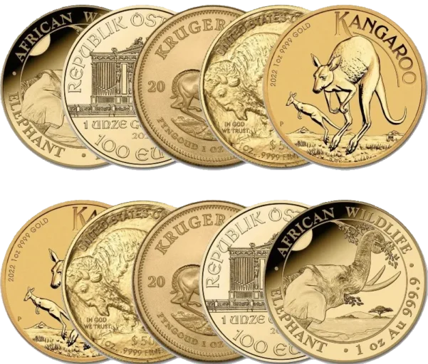 1 Oz Bullion Gold Coins